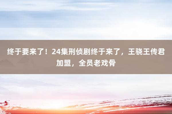 终于要来了！24集刑侦剧终于来了，王骁王传君加盟，全员老戏骨