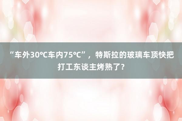 “车外30℃车内75℃”，特斯拉的玻璃车顶快把打工东谈主烤熟了？