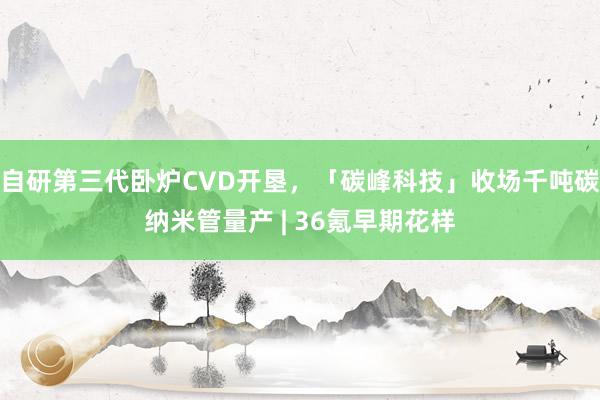 自研第三代卧炉CVD开垦，「碳峰科技」收场千吨碳纳米管量产 | 36氪早期花样