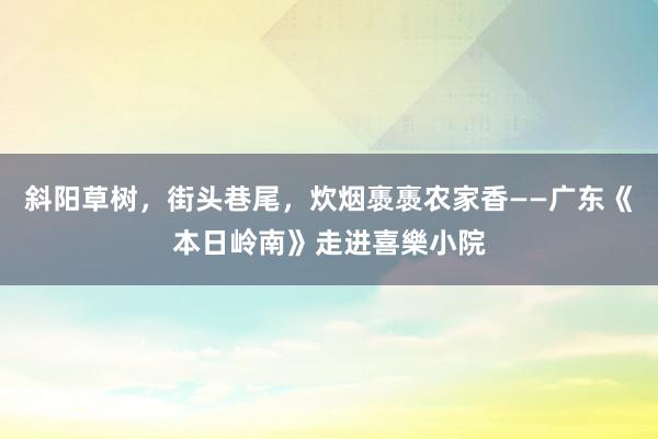 斜阳草树，街头巷尾，炊烟褭褭农家香——广东《本日岭南》走进喜樂小院