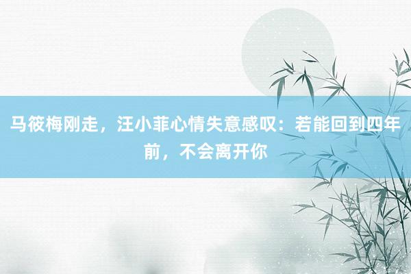 马筱梅刚走，汪小菲心情失意感叹：若能回到四年前，不会离开你