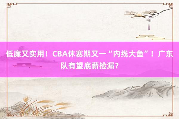 低廉又实用！CBA休赛期又一“内线大鱼”！广东队有望底薪捡漏？