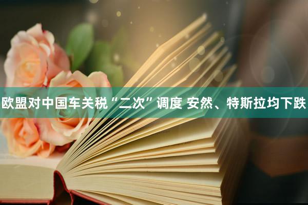 欧盟对中国车关税“二次”调度 安然、特斯拉均下跌