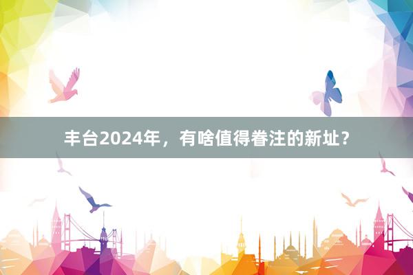 丰台2024年，有啥值得眷注的新址？