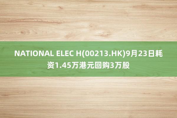 NATIONAL ELEC H(00213.HK)9月23日耗资1.45万港元回购3万股