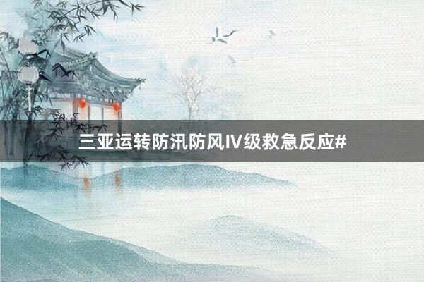 三亚运转防汛防风Ⅳ级救急反应#